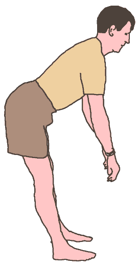 Diagram: Increased Pain when returning from 
forward bending = Lumbar Extension Syndrome