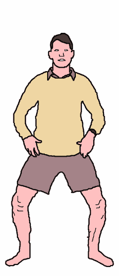 Modified Ballet Plie